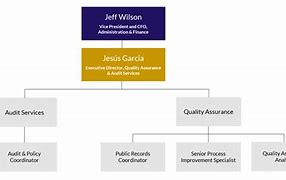 Image result for Quality Assurance Organizational Chart