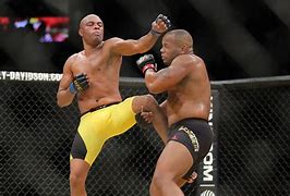 Image result for Greatest MMA Fighters of All Time