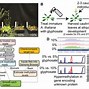 Image result for Gene Therapy Process