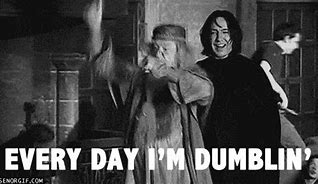 Image result for Harry Potter Memes Funny