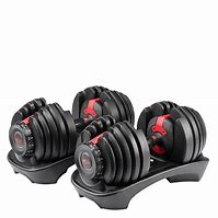 Image result for Bowflex Weights