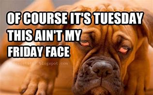 Image result for Tuesday Morning Meme Work Funny