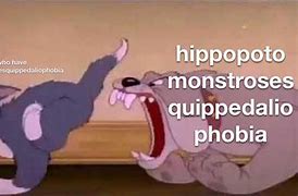 Image result for Hippopotomonstrosesquippedaliophobia Meme