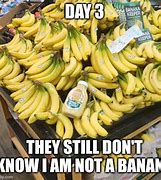 Image result for Why AM I Not a Banana Meme