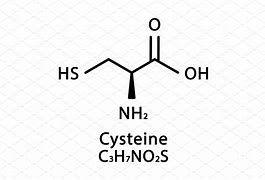 Image result for cysteine