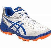 Image result for Latest Asics Cricket Shoes