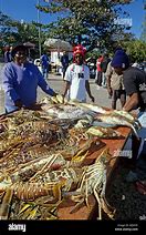 Image result for Exuma Bahamas Fish Market