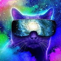 Image result for Cell Phone Cat Meme