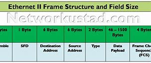 Image result for Type Field in Ethernet Frame
