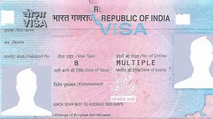 Image result for Indian Work Visa
