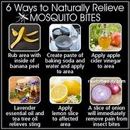 Image result for How Do You Get Rid of Mosquito Bites