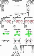 Image result for Sp Hybridization Carbon