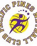 Image result for Pacific Pines Netball Club