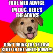 Image result for Advice Dog Meme