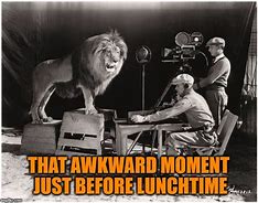 Image result for Cecil The Lion Meme