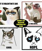 Image result for party cats memes templates
