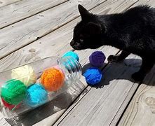 Image result for Cat Toy Ideas