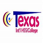 Image result for Texas International Enterprises Logo