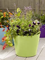 Image result for Self Watering Plant Pots Indoor