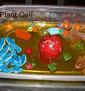 Image result for Jell Cell