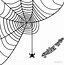 Image result for Sydney Funnel Web Spider Coloring Pages