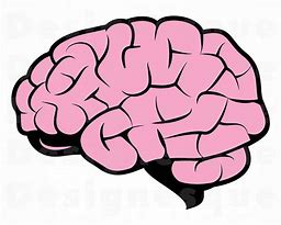 Image result for Brain Pic