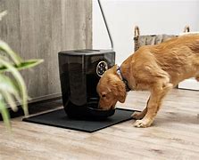 Image result for intelligent robotic dog feeders