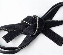 Image result for Black Belt Karate Master