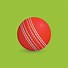 Image result for Cricket Ball Art
