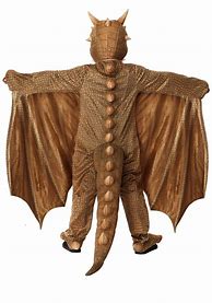 Image result for Dragon Costume