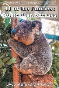 Image result for Funny Australian Quotes
