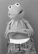 Image result for Kermit the Frog Meme Name