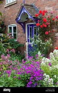 Image result for Roses Climbing Cottage