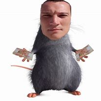 Image result for It's a Rat Meme
