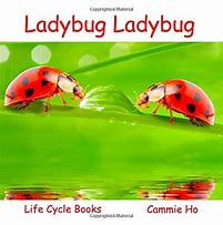 Image result for Ebook Ladybug