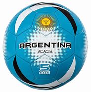 Image result for Female Argentina Soccer Fans