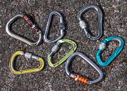 Image result for Climbing Carabiner