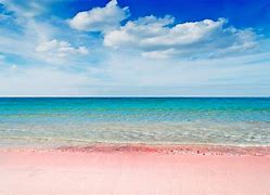 Image result for Pink Beach Costa Rica