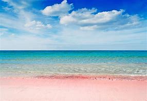 Image result for Aruba Pink Sand Beach