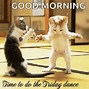 Image result for TGIF Animal