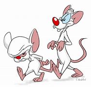 Image result for Pinky and the Brain Faces