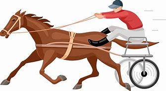 Image result for Harness Racing Horse Transparent
