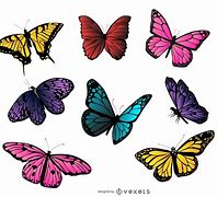 Image result for Colorful Butterfly Vector Art