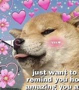 Image result for Wholesome Memes for Girlfriend