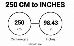 Image result for 250 Cm to Inches