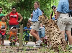 Image result for African American Zookeeper