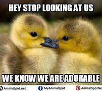 Image result for Zoolander Duck Face Pose Meme
