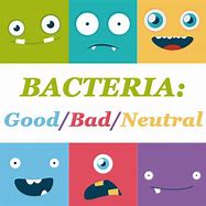 Image result for Germs Helpful or Harmful