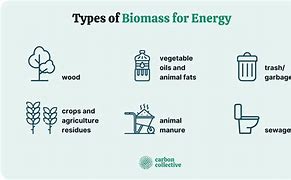 Image result for Pics of Biomass