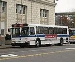 Image result for Green Bus Lines